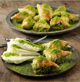 YAŞAR - YAŞAR FISTIKLI ŞÖBİYET
